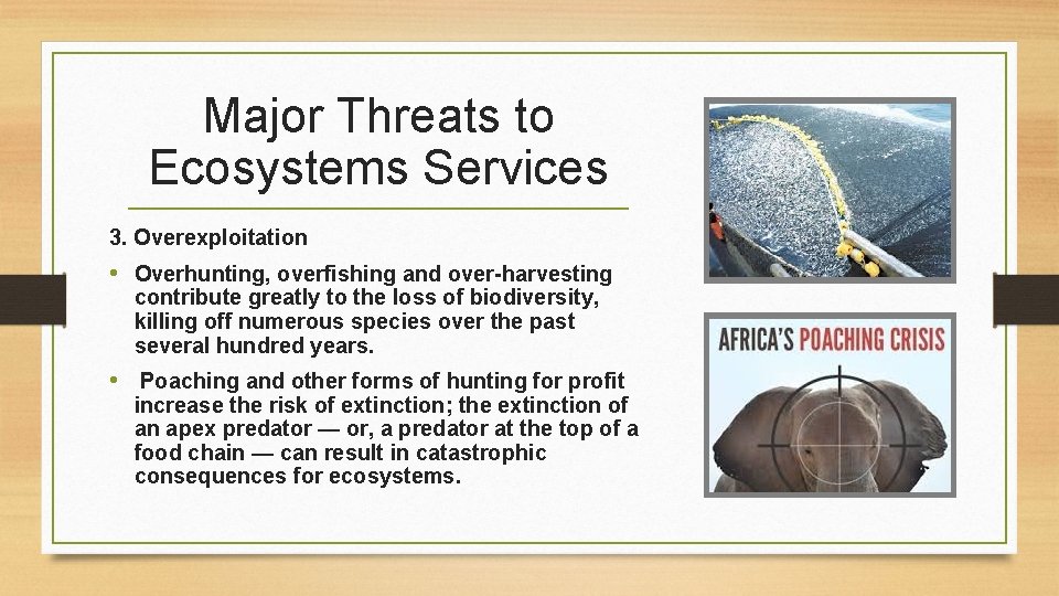 Major Threats to Ecosystems Services 3. Overexploitation • Overhunting, overfishing and over-harvesting contribute greatly