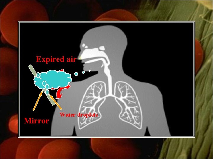 Expired air Mirror Water droplets 