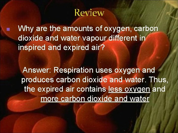 Review n Why are the amounts of oxygen, carbon dioxide and water vapour different