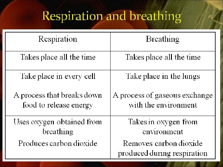 Respiration and breathing 