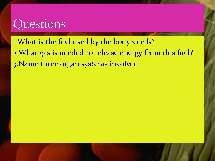 Questions 1. What is the fuel used by the body’s cells? 2. What gas