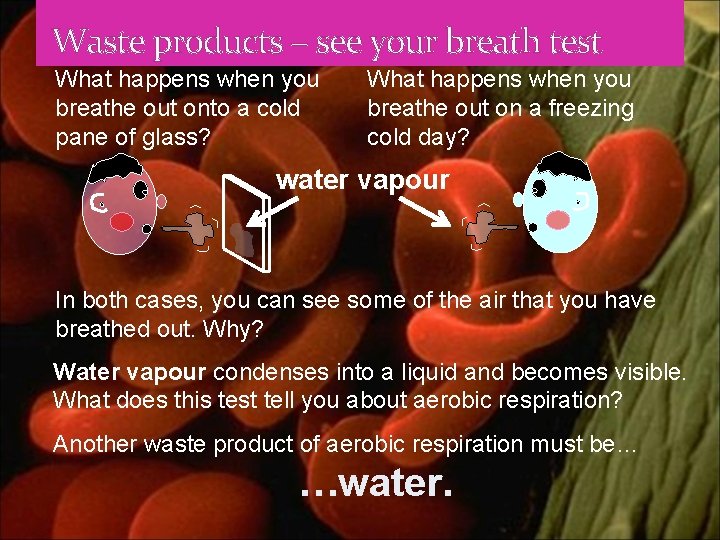 Waste products – see your breath test What happens when you breathe out onto