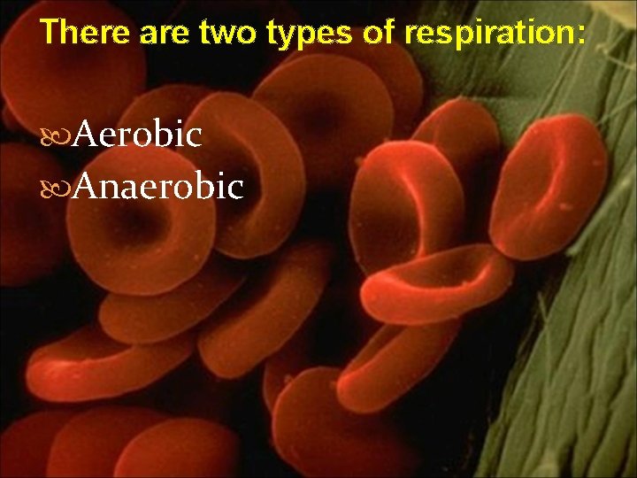 There are two types of respiration: Aerobic Anaerobic 