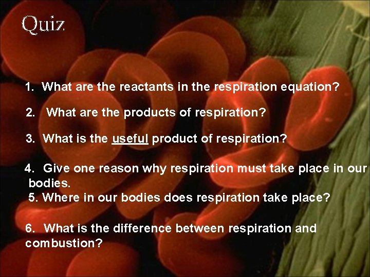 Quiz 1. What are the reactants in the respiration equation? 2. What are the