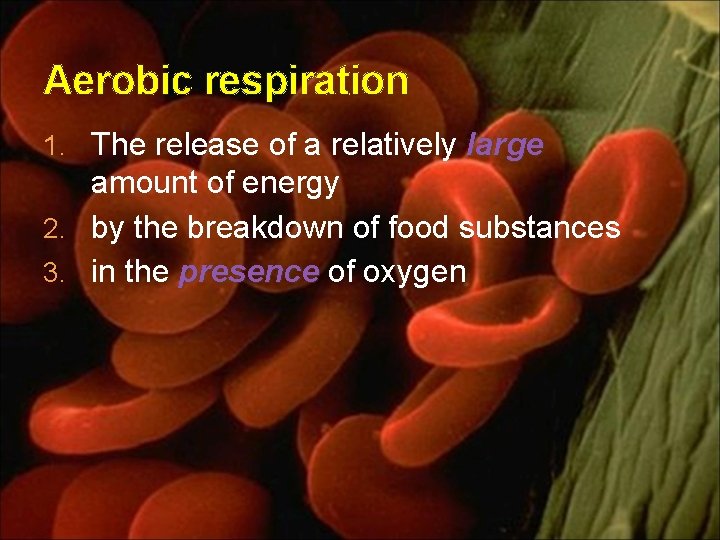 Aerobic respiration 1. The release of a relatively large amount of energy 2. by