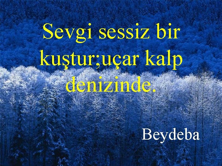 Sevgi sessiz bir kuştur; uçar kalp denizinde. Beydeba 