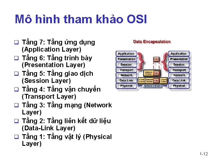 Mô hình tham khảo OSI q Tầng 7: Tầng ứng dụng q q q