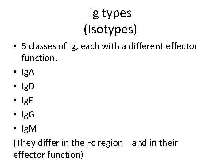 Ig types (Isotypes) • 5 classes of Ig, each with a different effector function.