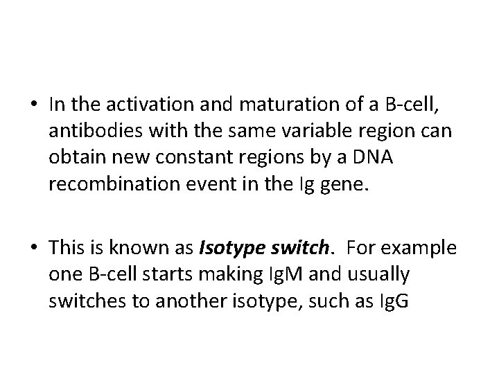  • In the activation and maturation of a B-cell, antibodies with the same