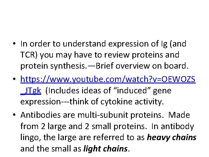  • In order to understand expression of Ig (and TCR) you may have