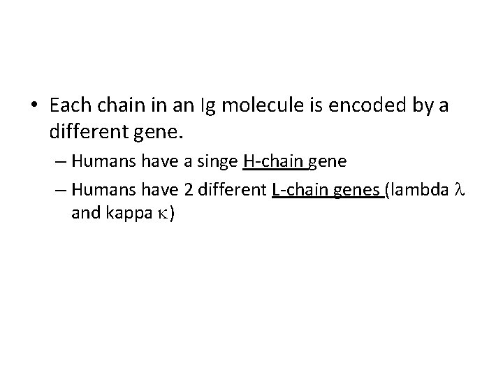  • Each chain in an Ig molecule is encoded by a different gene.