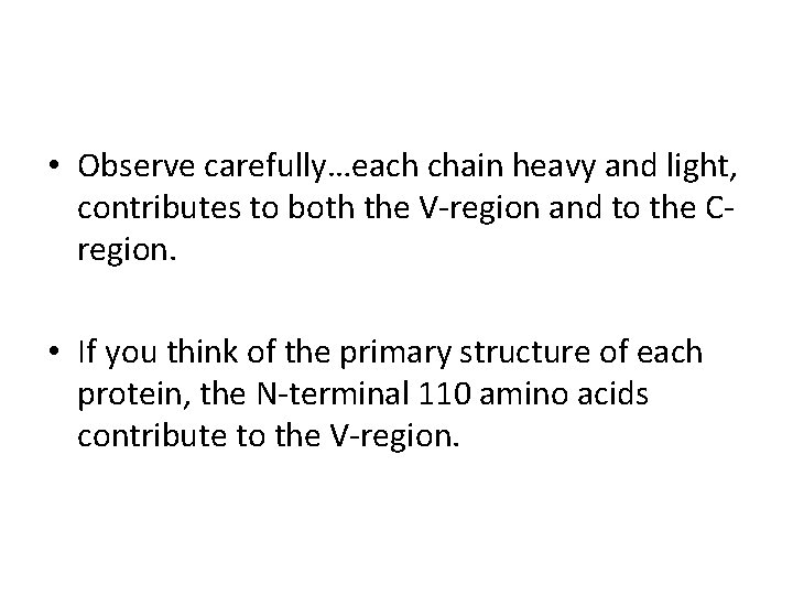  • Observe carefully…each chain heavy and light, contributes to both the V-region and