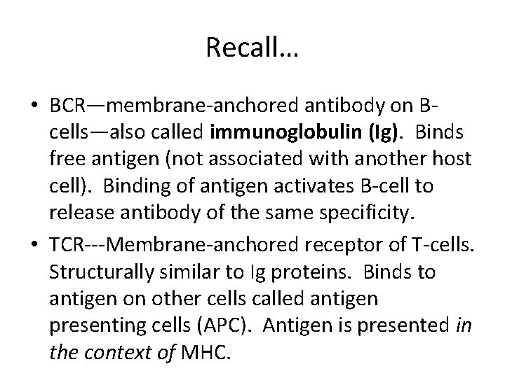 Recall… • BCR—membrane-anchored antibody on Bcells—also called immunoglobulin (Ig). Binds free antigen (not associated