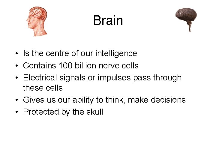 Brain • Is the centre of our intelligence • Contains 100 billion nerve cells