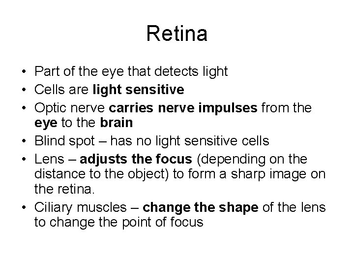 Retina • Part of the eye that detects light • Cells are light sensitive