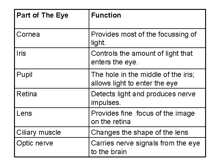 Part of The Eye Function Cornea Provides most of the focussing of light. Iris