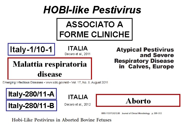 HOBI-like Pestivirus ASSOCIATO A FORME CLINICHE Italy-1/10 -1 ITALIA Decaro et al. , 2011