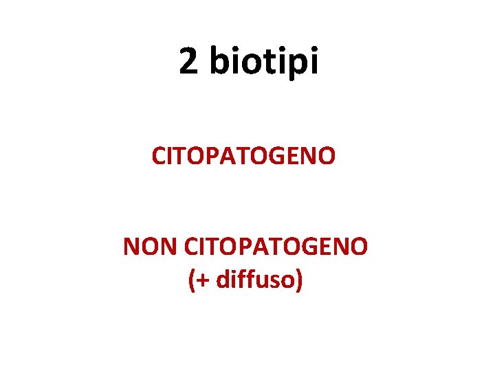 2 biotipi CITOPATOGENO NON CITOPATOGENO (+ diffuso) 