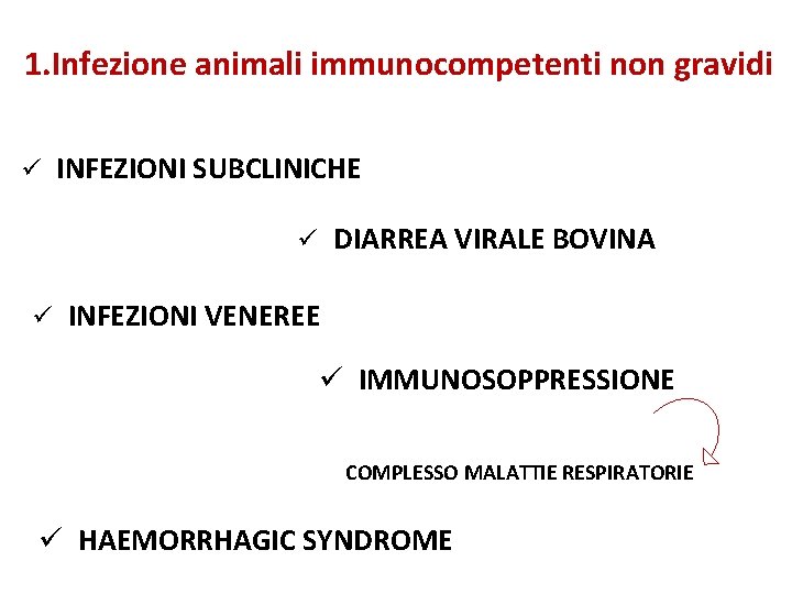 1. Infezione animali immunocompetenti non gravidi ü INFEZIONI SUBCLINICHE ü DIARREA VIRALE BOVINA ü