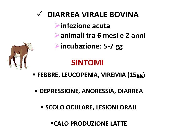 ü DIARREA VIRALE BOVINA Øinfezione acuta Øanimali tra 6 mesi e 2 anni Øincubazione: