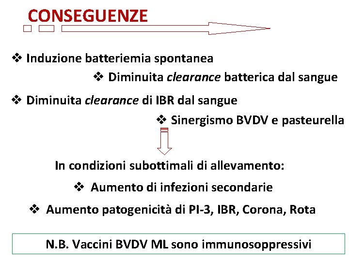 CONSEGUENZE v Induzione batteriemia spontanea v Diminuita clearance batterica dal sangue v Diminuita clearance