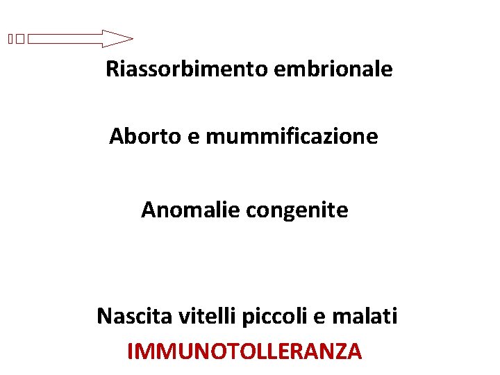 Riassorbimento embrionale Aborto e mummificazione Anomalie congenite Nascita vitelli piccoli e malati IMMUNOTOLLERANZA 