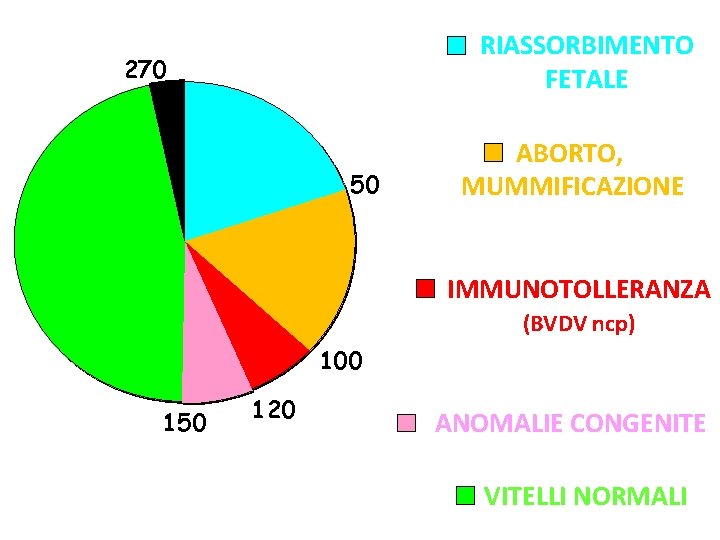 RIASSORBIMENTO FETALE 270 50 ABORTO, MUMMIFICAZIONE IMMUNOTOLLERANZA (BVDV ncp) 100 150 120 ANOMALIE CONGENITE