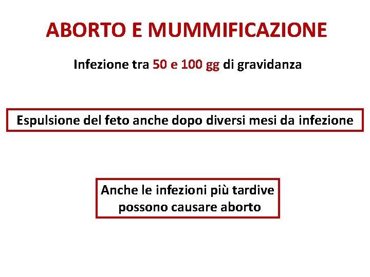ABORTO E MUMMIFICAZIONE Infezione tra 50 e 100 gg di gravidanza Espulsione del feto