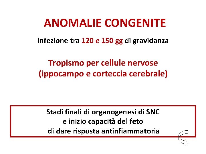 ANOMALIE CONGENITE Infezione tra 120 e 150 gg di gravidanza Tropismo per cellule nervose