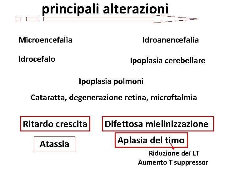 principali alterazioni Microencefalia Idroanencefalia Idrocefalo Ipoplasia cerebellare Ipoplasia polmoni Cataratta, degenerazione retina, microftalmia Ritardo