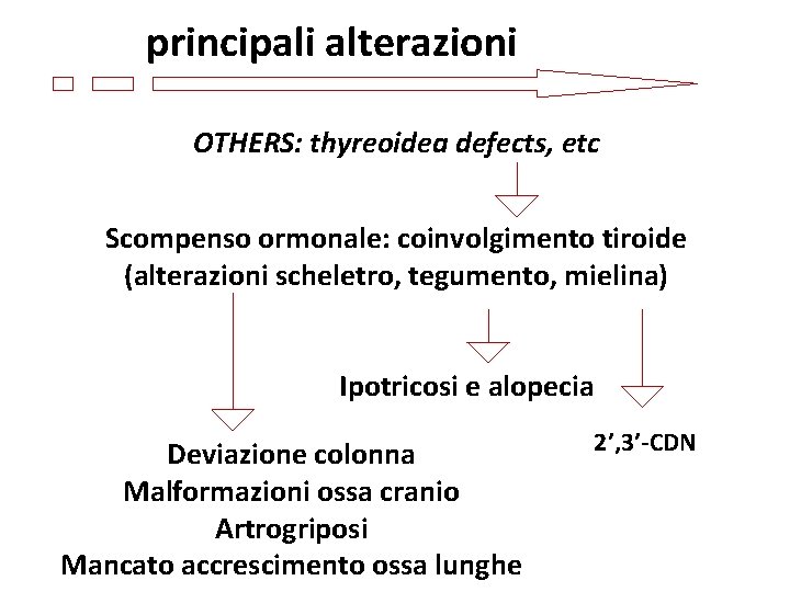 principali alterazioni OTHERS: thyreoidea defects, etc Scompenso ormonale: coinvolgimento tiroide (alterazioni scheletro, tegumento, mielina)