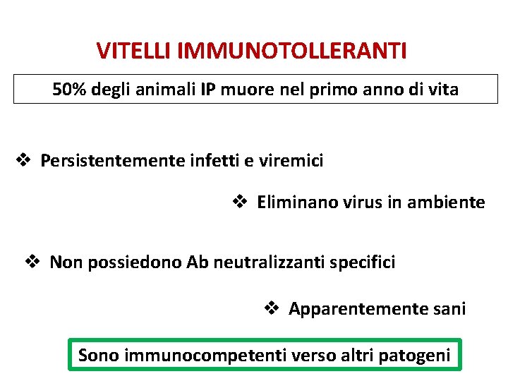 VITELLI IMMUNOTOLLERANTI 50% degli animali IP muore nel primo anno di vita v Persistentemente