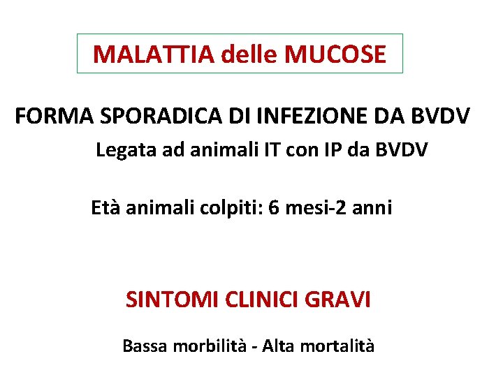 MALATTIA delle MUCOSE FORMA SPORADICA DI INFEZIONE DA BVDV Legata ad animali IT con