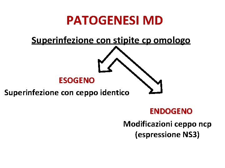 PATOGENESI MD Superinfezione con stipite cp omologo ESOGENO Superinfezione con ceppo identico ENDOGENO Modificazioni