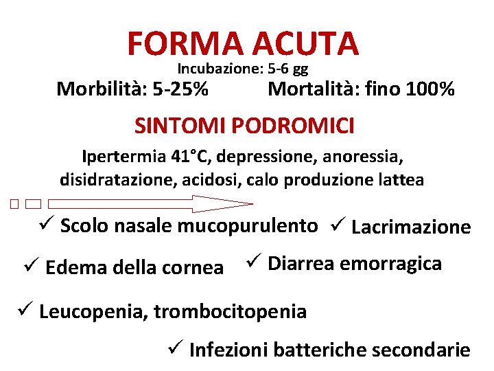 FORMA ACUTA Incubazione: 5 -6 gg Morbilità: 5 -25% Mortalità: fino 100% SINTOMI PODROMICI