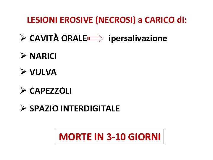 LESIONI EROSIVE (NECROSI) a CARICO di: Ø CAVITÀ ORALE ipersalivazione Ø NARICI Ø VULVA