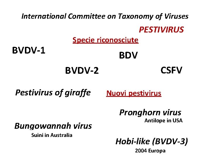 International Committee on Taxonomy of Viruses Specie riconosciute BVDV-1 PESTIVIRUS BDV BVDV-2 Pestivirus of