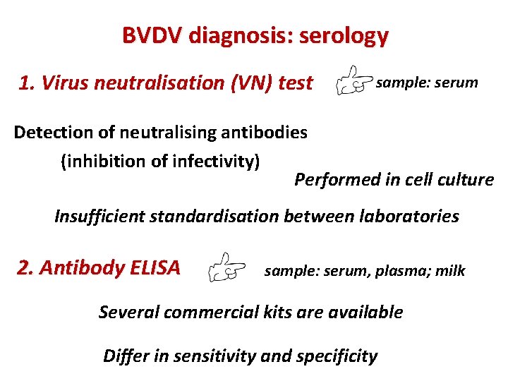 BVDV diagnosis: serology 1. Virus neutralisation (VN) test sample: serum Detection of neutralising antibodies