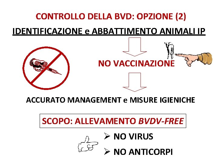 CONTROLLO DELLA BVD: OPZIONE (2) IDENTIFICAZIONE e ABBATTIMENTO ANIMALI IP NO VACCINAZIONE ACCURATO MANAGEMENT