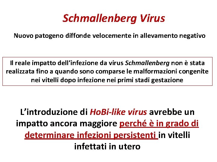 Schmallenberg Virus Nuovo patogeno diffonde velocemente in allevamento negativo Il reale impatto dell’infezione da