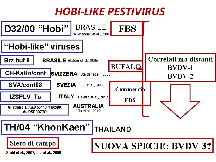 HOBI-LIKE PESTIVIRUS D 32/00 “Hobi” BRASILE Schirrmeier et al. , 2004 FBS “Hobi-like” viruses