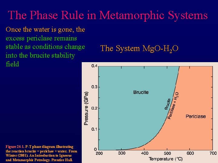 The Phase Rule in Metamorphic Systems Once the water is gone, the excess periclase