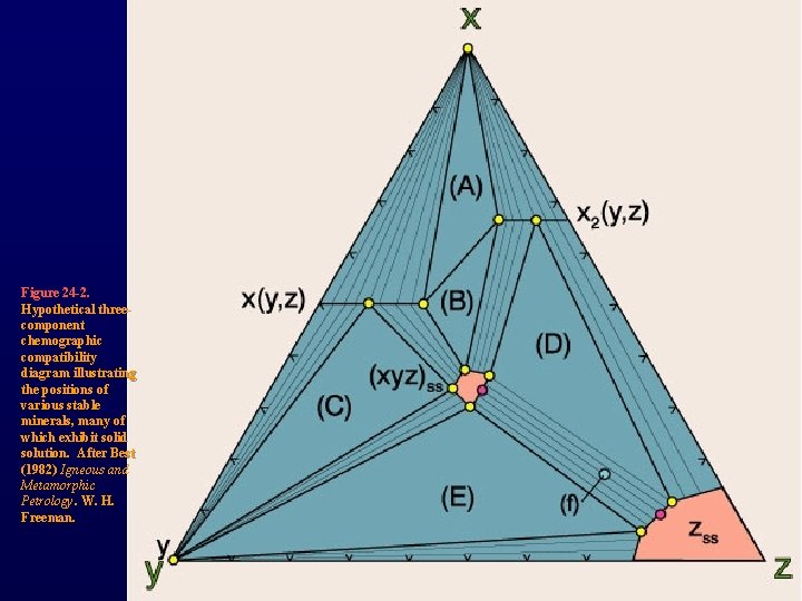 Figure 24 -2. Hypothetical threecomponent chemographic compatibility diagram illustrating the positions of various stable