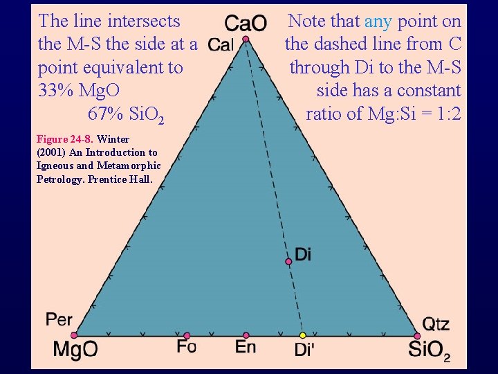 The line intersects the M-S the side at a point equivalent to 33% Mg.