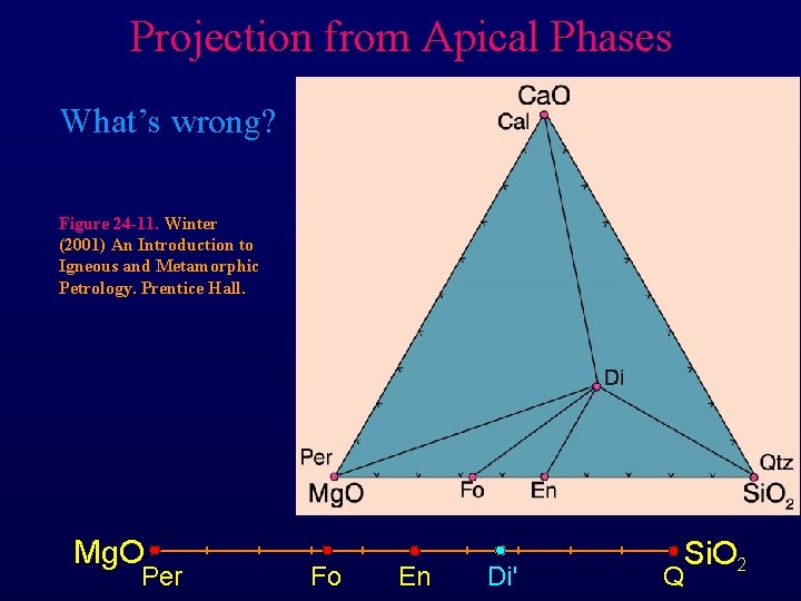 Projection from Apical Phases What’s wrong? Figure 24 -11. Winter (2001) An Introduction to