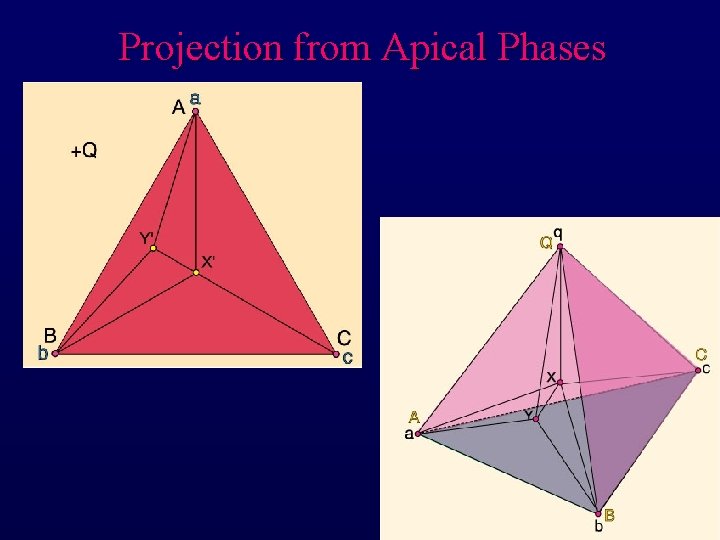Projection from Apical Phases 
