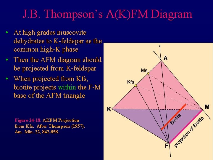 J. B. Thompson’s A(K)FM Diagram • At high grades muscovite dehydrates to K-feldspar as