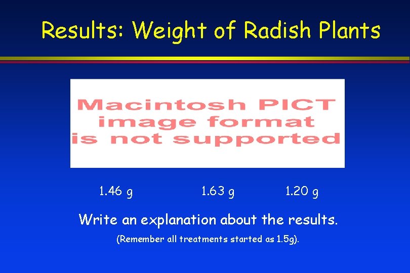 Results: Weight of Radish Plants 1. 46 g 1. 63 g 1. 20 g