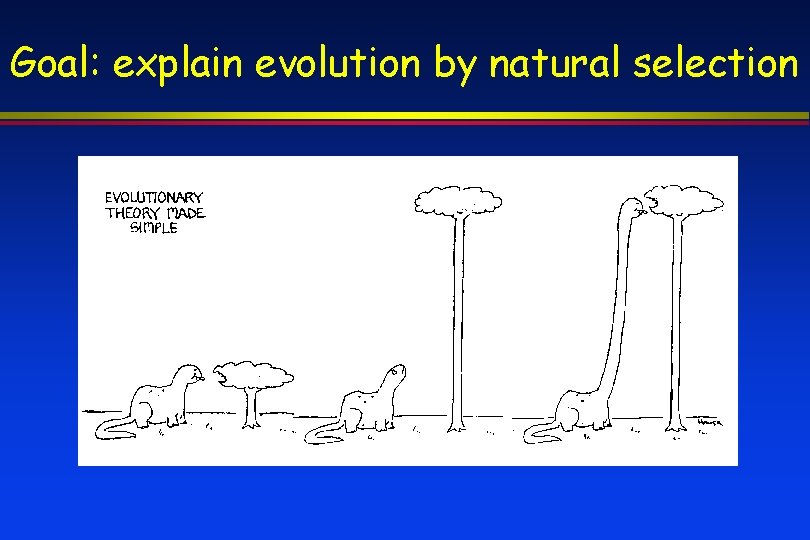 Goal: explain evolution by natural selection 