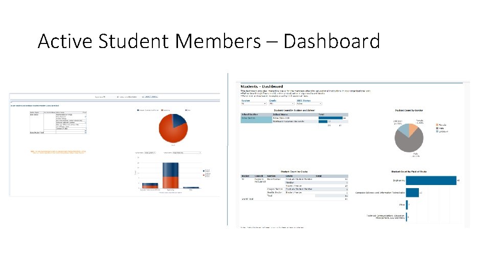 Active Student Members – Dashboard 